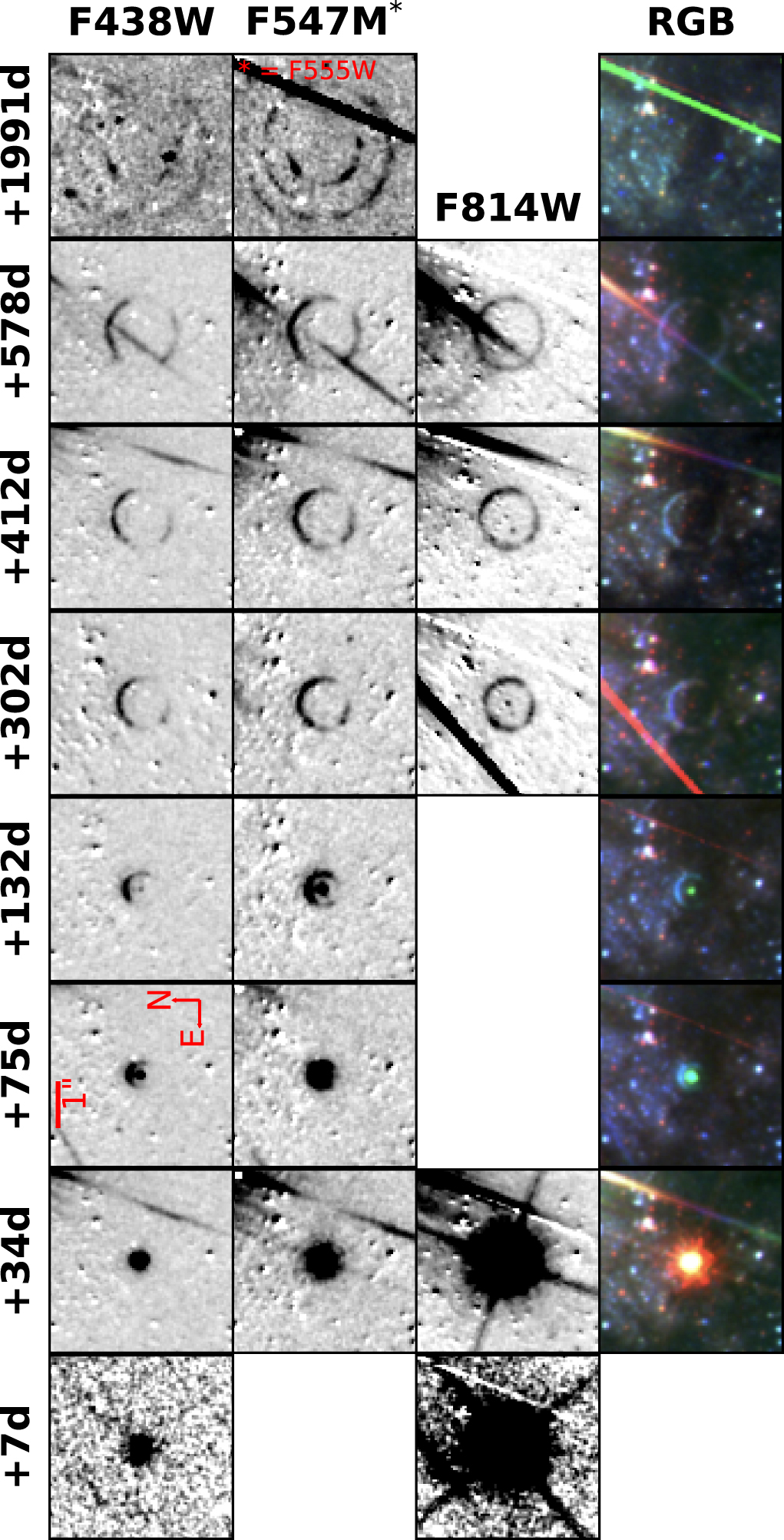 Seria zdjęć supernowej SN 2016adj z odjętym tłem galaktyki macierzystej od +7 do +1991 dni po maksimum jasności w filtrze B (pole widzenia 4,″36x4,″36). Kolejne wiersze pokazują wyłanianie się i ewolucję wielu ech świetlnych w następujących filtrach Kosmicznego Teleskopu Hubble’a: F438W (pierwszy wiersz), F547M (drugi wiersz) i F814W (trzeci wiersz). Dodatkowo w czwartym wierszu jest pokazany obraz na daną chwilę przetransformowany do barw RGB, do których jest „przyzwyczajone” ludzie oko. Z tych obrazów została przygotowana animacja. Źródło: The Astrophysical Journal Letters (2022) 939 L8. https://doi.org/10.3847/2041-8213/ac93f8)