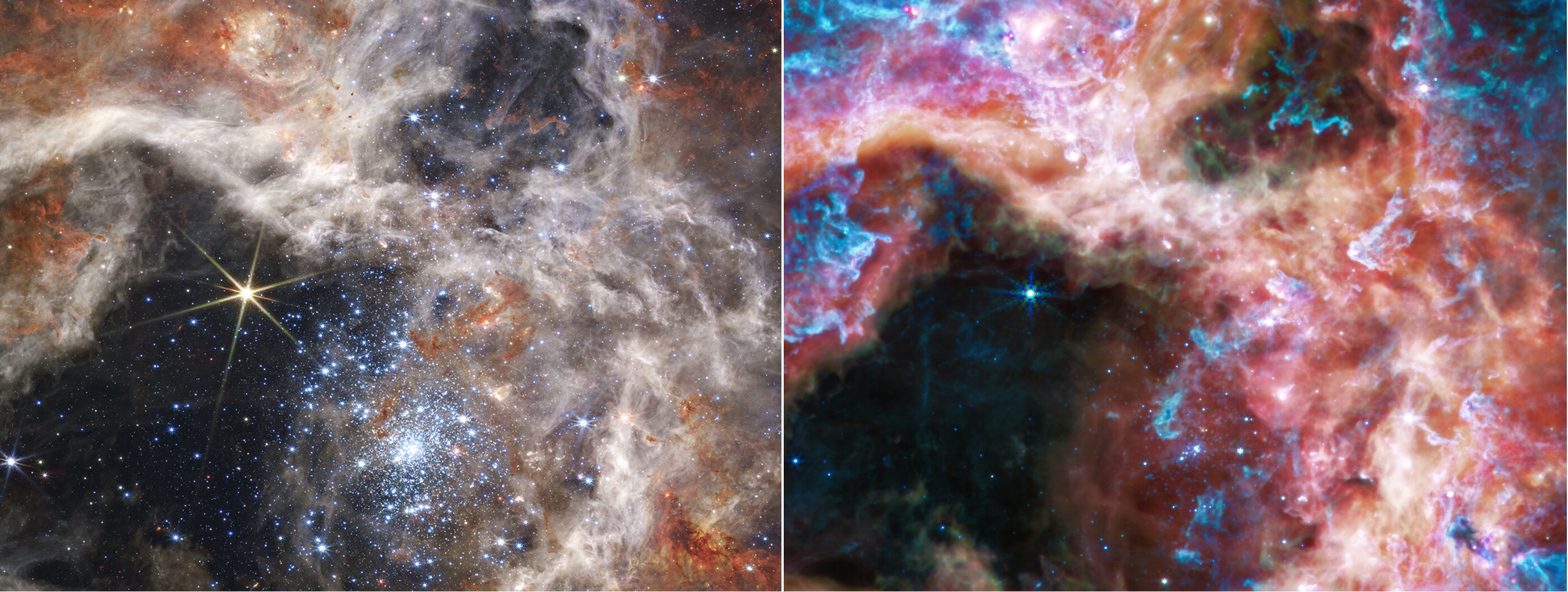 Widoki fragmentu Mgławicy Tarantula obok siebie w bliskiej/średniej podczerwieni (odpowiednio po lewej/po prawej) wykonane przez Teleskop Webba. Przekątna zdjęcia odpowiada na niebie 2,64’ (~130 l.św. z odległości 170 tysięcy l.św.). Na stronie internetowej ESA można interaktywnie oglądać oba zdjęcia, przesuwając suwak: bliska ↔ średnia podczerwień. Każdy fragment widma promieniowania elektromagnetycznego pokazuje i ukrywa inne cechy, co pozwala astronomom zrozumieć mechanizmy fizyczne odpowiadające za powstawanie gwiazd. Źródło: NASA, ESA, CSA, and STScI