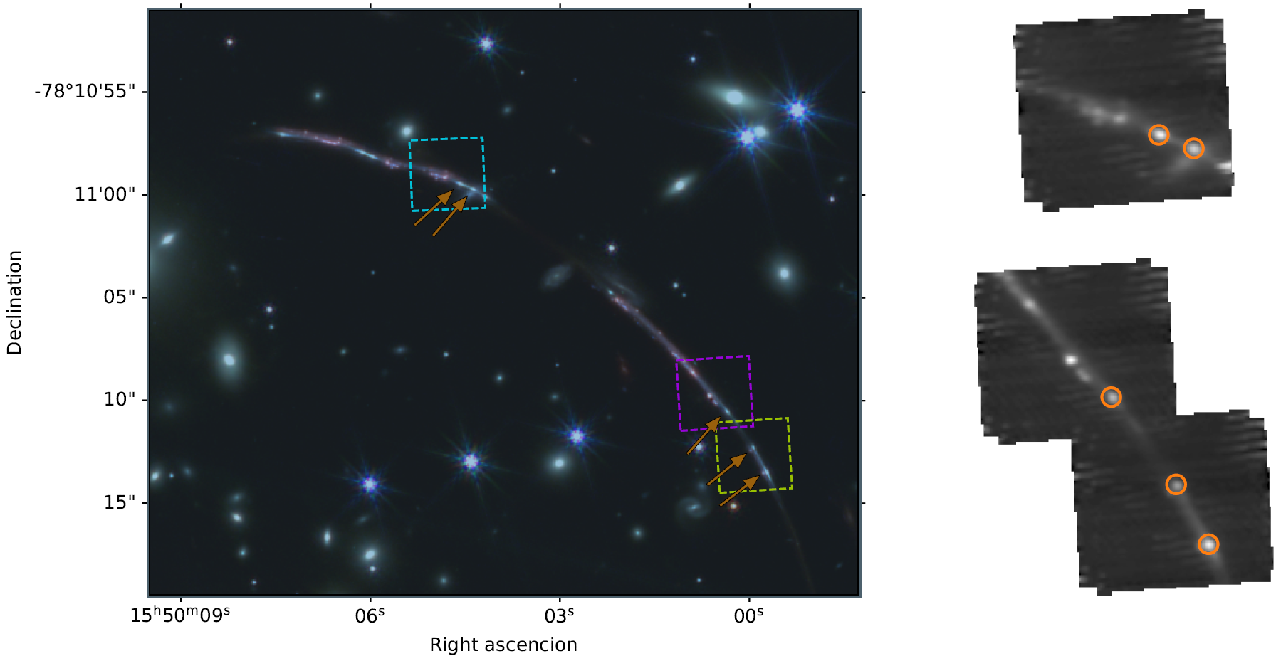 Na ilustracji: Kolorowy obraz dwóch fragmentów (północny + północno-zachodni) soczewkowanej galaktyki Błysk Słońca uzyskany za pomocą Teleskopu Webba i kamery NIRCam. Strzałki wskazują na pięć kopii rodzącej się w tej galaktyce gromady kulistej, czyli proto-gromady kulistej (ang. proto-globular cluster), w której zaobserwowano linie widmowe charakterystyczne dla gwiazd Wolfa Rayeta. Kolorowe kwadraty wskazują na pola obserwacyjne spektrografu NIRSpec, którego widma zostały wykorzystane do badania tej proto-gromady kulistej. Źródło: arXiv:2404.08884 [astro-ph.GA]