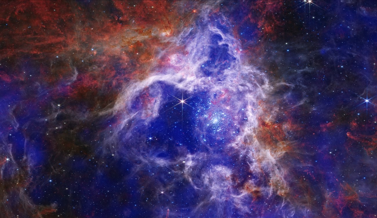 Na ilustracji: Połączone zdjęcia z teleskopów Chandra oraz Webba Mgławicy Tarantula w zakresie rentgenowskim (kolory: niebieski i fioletowy) i w podczerwieni (kolory: czerwony, pomarańczowy, zielony i jasnoniebieski). Widać tutaj protogwiazdy i masywne obłoki gazu i pyłu, w których powstają gwiazdy. Źródło:  X-ray (Chandra): NASA/CXC/Penn State Univ./L. Townsley et al.; IR (Spitzer): NASA/JPL/PSU/L.Townsley et al. IR (JWST): NASA/ESA/CSA/STScI/JWST ERO Production Team; Optical (Hubble): NASA/STScI